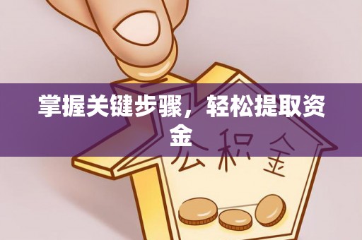 布拖掌握关键步骤，轻松提取资金