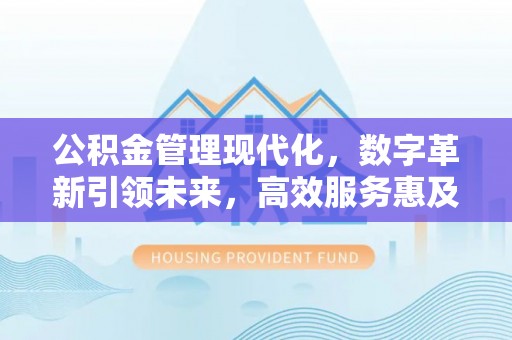 布拖公积金管理现代化，数字革新引领未来，高效服务惠及民生