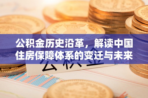 布拖公积金历史沿革，解读中国住房保障体系的变迁与未来