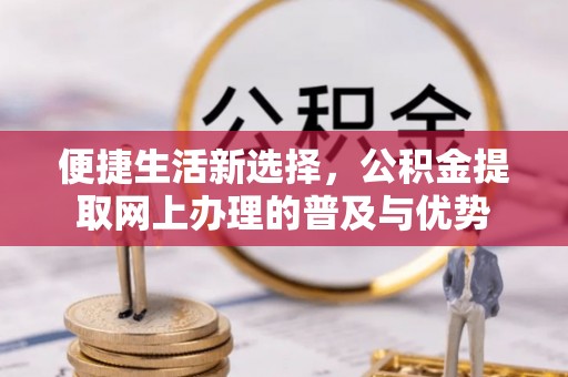 布拖便捷生活新选择，公积金提取网上办理的普及与优势